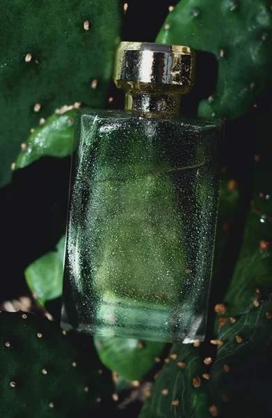 Perfume bottle on green cactus background