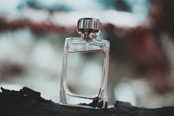 Frasco Perfume Fundo Natureza — Fotografia de Stock