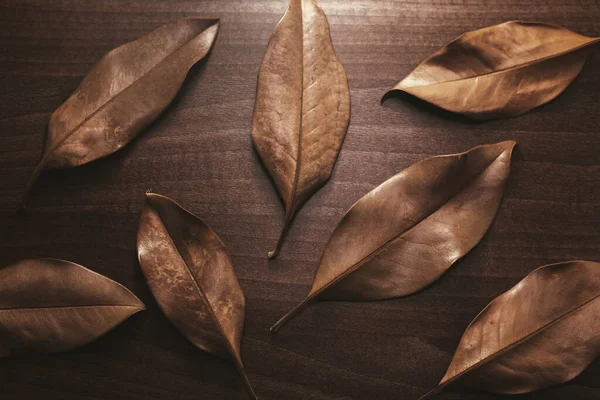 Fond Feuilles Brunes Sèches Sur Une Table Bois — Photo