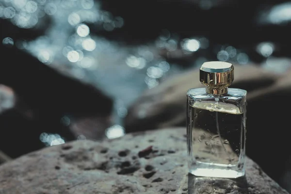 Perfume Húmedo Sobre Una Piedra —  Fotos de Stock