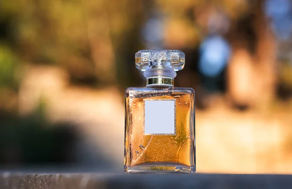 Sarı Arka Planda Islak Parfüm — Stok fotoğraf