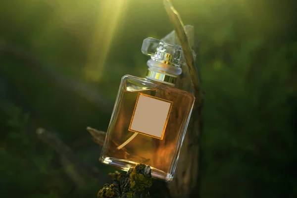 Frasco Perfume Sobre Fondo Verde Naturaleza — Foto de Stock