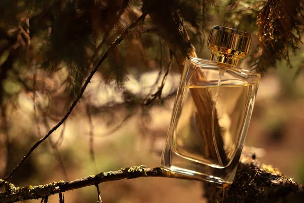 Frasco Perfume Sobre Fondo Amarillo Naturaleza — Foto de Stock