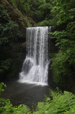 Lower South Falls, Silver Falls Eyalet Parkı, Oregon