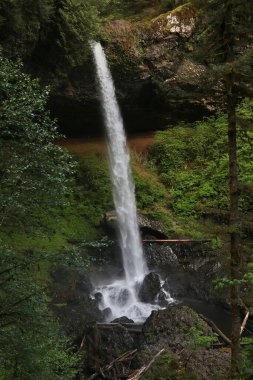 North Falls, Silver Falls Eyalet Parkı, Oregon