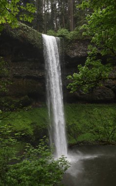 South Falls, Silver Falls Eyalet Parkı, Oregon