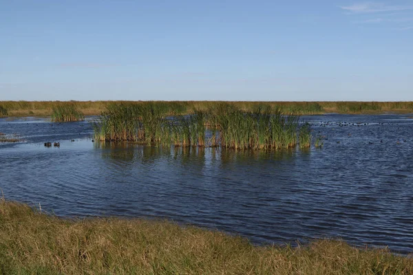 Wetland San Bernard National Wildlife Refuge Brazoria Texas — Stock Photo, Image