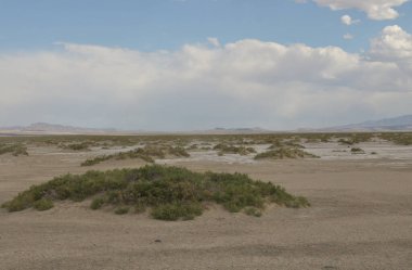 Fish Springs yakınlarındaki tipik manzara Ulusal Vahşi Yaşam Sığınağı, Utah