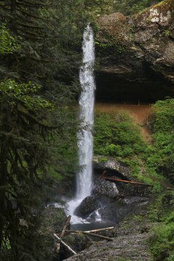 Kuzey Şelalesi, Silver Falls SP, OR