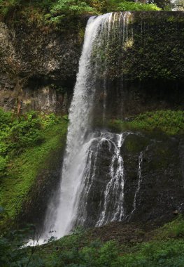 Twin Falls, Silver Falls Eyalet Parkı, Oregon