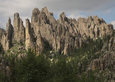 Katedral Kuleleri, Needles Otoyolu, Black Hills, Güney Dakota