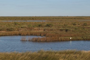 Freeport, Teksas yakınlarındaki tipik manzara