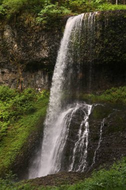 Twin Falls, Silver Falls Eyalet Parkı, Oregon