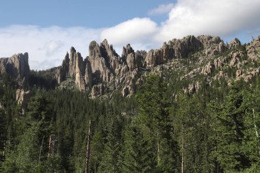 Katedral Kuleleri, Needles Otoyolu, Black Hills, Güney Dakota