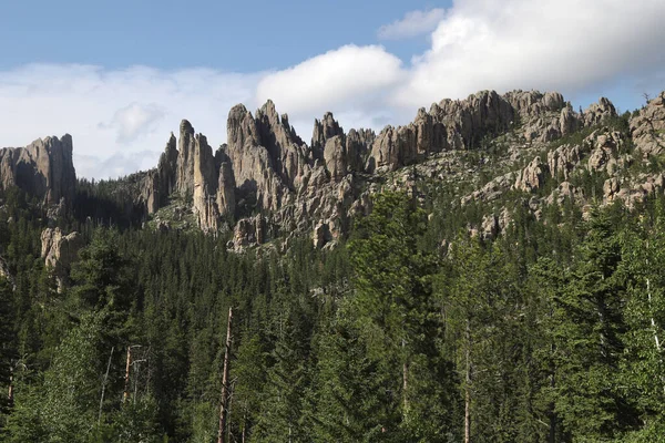 Katedral Kuleleri, Needles Otoyolu, Black Hills, Güney Dakota