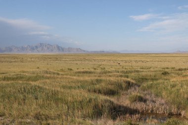Nephi, Utah yakınlarındaki tipik manzara.
