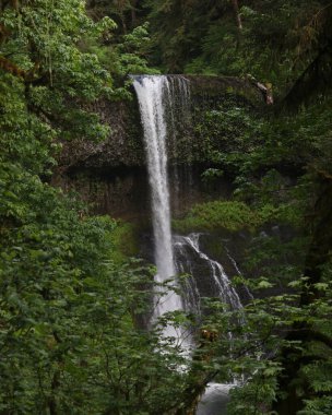 Twin Falls, Silver Falls Eyalet Parkı, Oregon