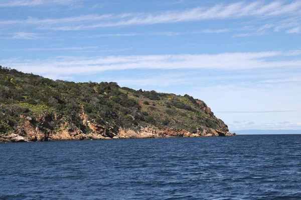 Parc National Des Îles Anglo Normandes Californie — Photo