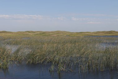 Valentine, Nebraska yakınlarındaki tipik manzara