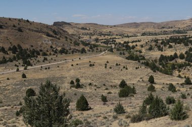 Trout Creek Yolu üzerindeki tipik manzara, Idaho