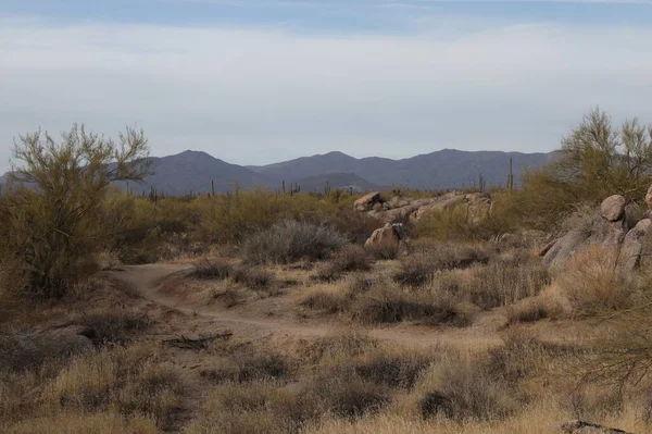 Pima Dynamite Trails, Scottsdale, Arizona 'daki tipik manzara.
