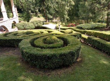  Ulusal Park Mezhyhirya. Kiev. Ukrayna. 6 Ağustos 2019.