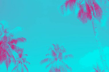 Hindistan cevizi ağaçları tropikal palmiye çift tonlu görüntü efekti 