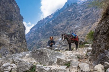 Nepal-Mart 29, 2018: Nepal delikanlı bir eşek yanındaki 29 Mart 2018, Nepal çömelme. 