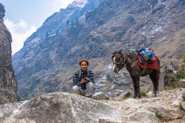 Nepal-Mart 29, 2018: Nepal delikanlı bir eşek yanındaki 29 Mart 2018, Nepal çömelme. 