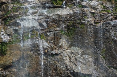 Güneşli bir günde ıslak taş güzel parlak doku. 