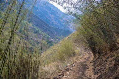 Bambu çalılıkları bahar günü, Himalayalar, Nepal üzerinde dağ iz. 