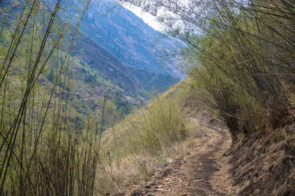 Bambu çalılıkları bahar günü, Himalayalar, Nepal üzerinde dağ iz. 