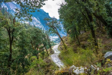Dağ yolundan güzel Dağları'nda bahar gününde, Nepal sarma.