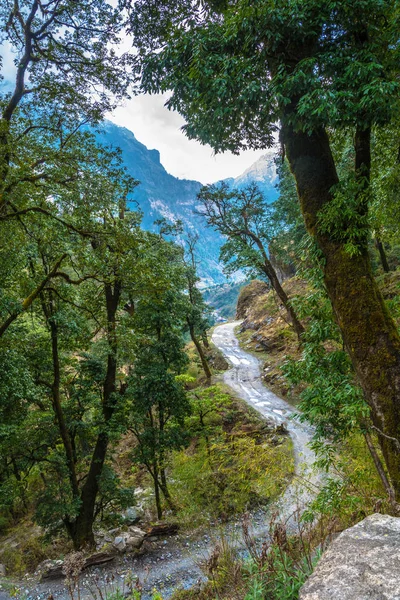 Kręte Górskie Drogi Górach Dzień Wiosny Nepal — Zdjęcie stockowe