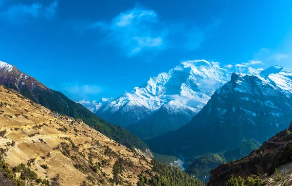 Vackra Bergslandskapet Solig Vårdag Nepal — Stockfoto