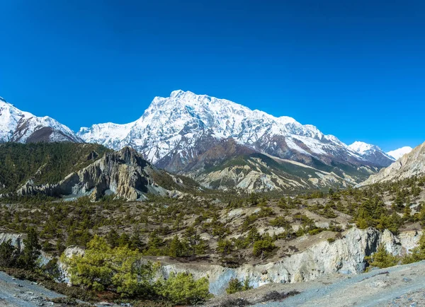 Bela Paisagem Com Montanhas Nevadas Floresta Coníferas Himalaia Nepal — Fotografia de Stock