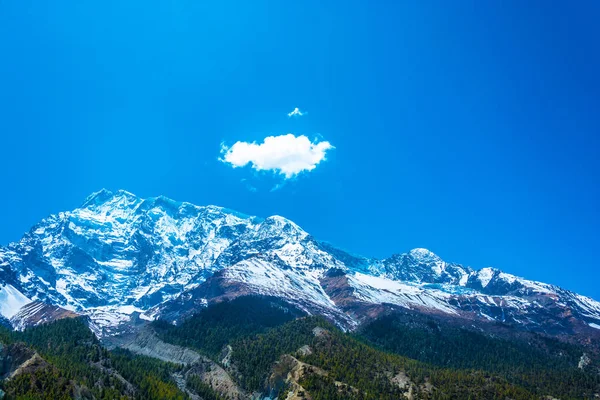 雪に覆われた山々 ヒマラヤ ネパールの針葉樹林と美しい風景 — ストック写真