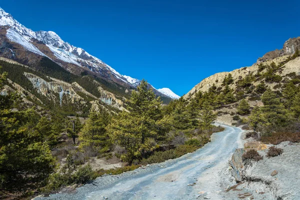 Estrada Montanha Himalaia Dia Ensolarado Primavera Nepal — Fotografia de Stock