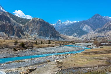 Güzel dağ manzarası ile: Bagmati Nehri'nin güneşli bir günde, Nepal.