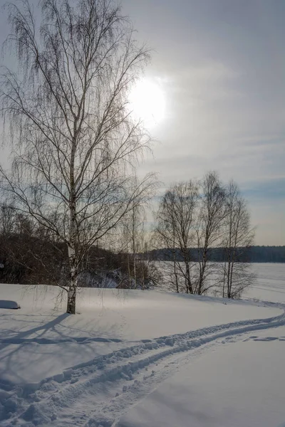 Güzel kış manzara bir karlı yamaç ve güneşli bir ağaç konturlu ışık koşullarında.