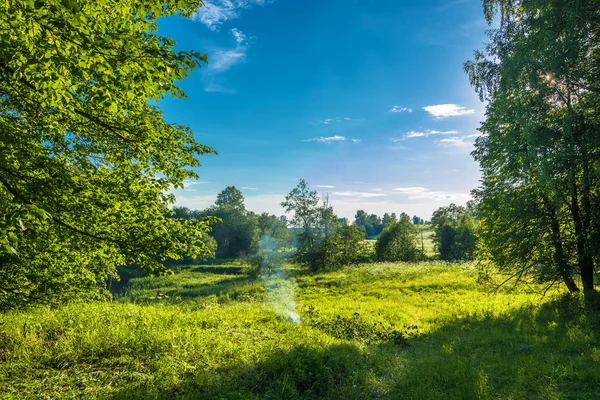 Mavi alev yaktı yaz akşam güneşi tarafından küçük bir çayır üzerinde duman.