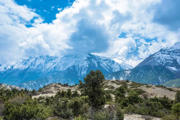 Güzel dağ manzarası ağaçlar, çalılar ve karlı dağları Himalayalar, Nepal.