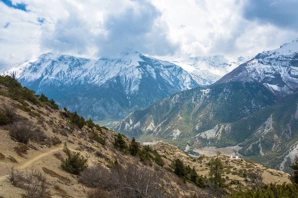 Güzel dağ manzarası ağaçlar, çalılar ve karlı dağları Himalayalar, Nepal.