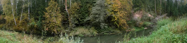 Panorama Small River Autumn Day Green Trees Yellow Leaves — Stock Photo, Image