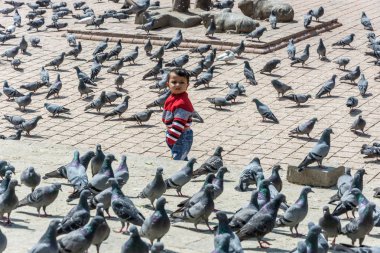 Çocuk üzerinde 13 Nisan 2018 Katmandu Nepal arasında büyük bir sürü güvercin meydanında standları. 