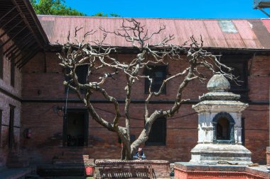 Katmandu, Nepal 13.04.2018 avlusunda bir emeklilik ev Pashupatinath Tapınağı 13 Nisan 2018, Katmandu, Nepal. 