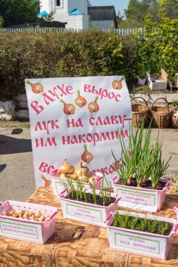 LUH, Ivanovo region, Rusya Federasyonu - 08/25/2018: soğan bölgesel Festivali-Fuar Luk-luchok 25 Ağustos 2018 tohum şehir, Luh içinde Ivanovo region, Rusya Federasyonu. 