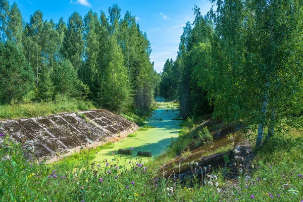 Large Abandoned Ditch Goes Depths Forest Sunny Summer Day — Stock Photo, Image