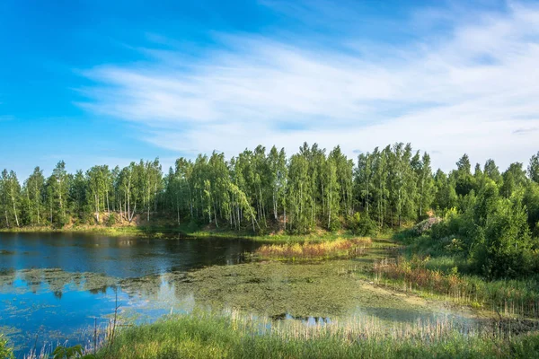 Красиві Пейзажі Невеликим Озером Сонячний Літній День Росія — стокове фото