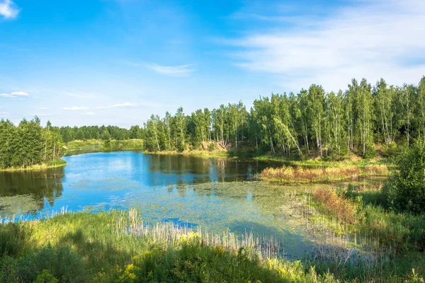 Piękne Krajobrazy Niewielkim Jeziorem Słoneczny Letni Dzień Rosja — Zdjęcie stockowe